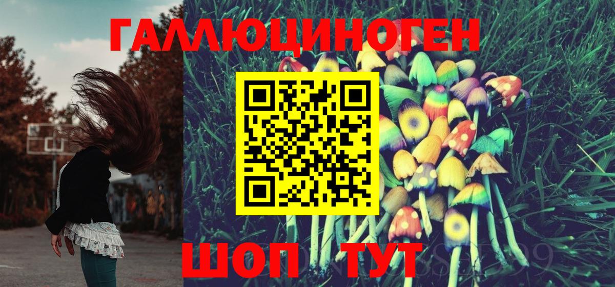 Галлюциногенные грибы мицелий Горно-Алтайск
