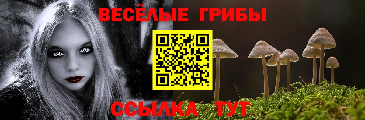 Псилоцибиновые грибы мухоморы  купить  сайты  Горно-Алтайск  Вход с VPN  Галлюциногенные грибы GOLDEN TEACHER 